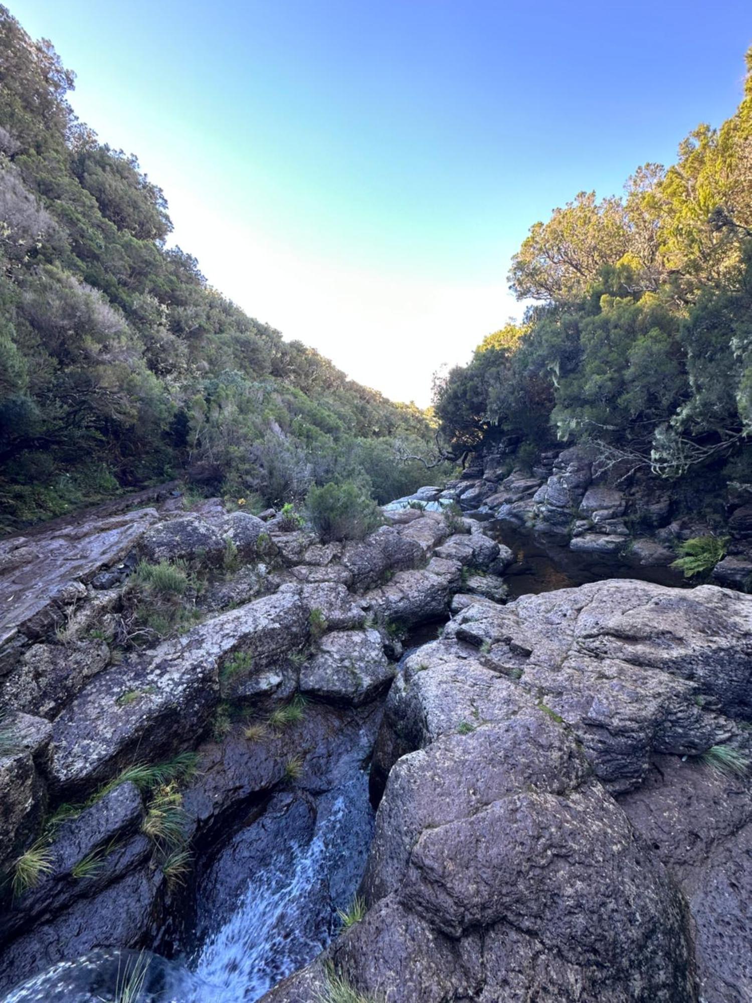 The Green Valley House São Vicente Екстериор снимка