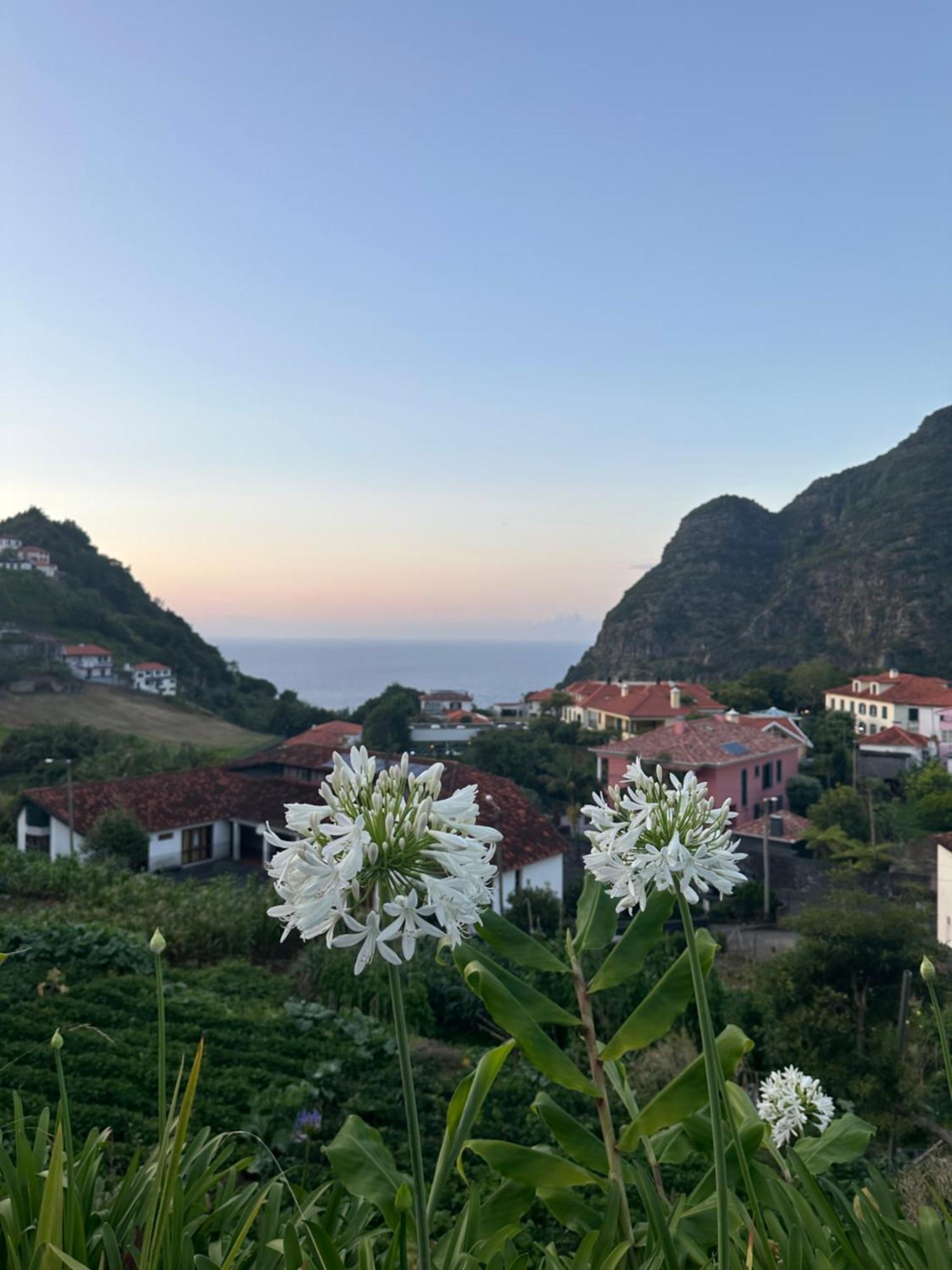 The Green Valley House São Vicente Екстериор снимка